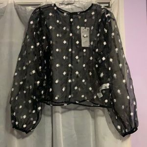 Polka dot balloon sleeve sheer blouse